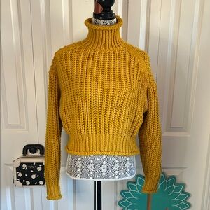 H&M Mustard Yellow Chunky Knit Cropped sweater.